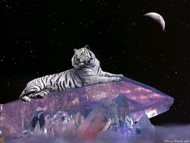 Fantasy_107