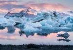 Nature_339