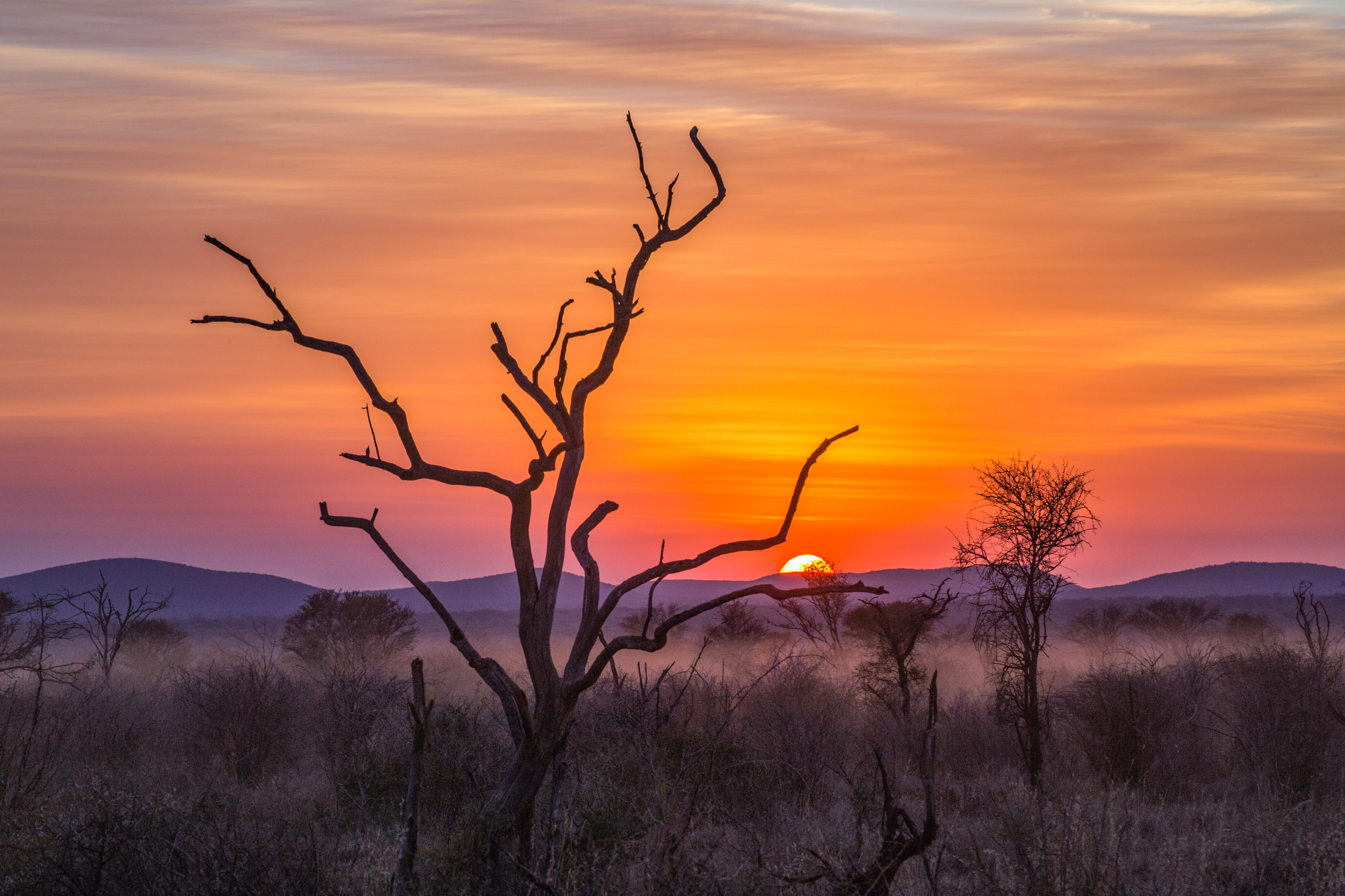 Sunrise_487