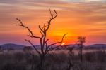 Sunrise_487
