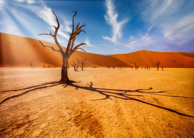 Desert_177