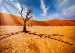 Desert_177