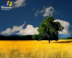 windows_xp_218