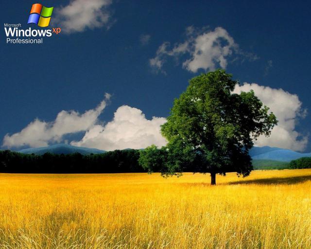 windows_xp_218