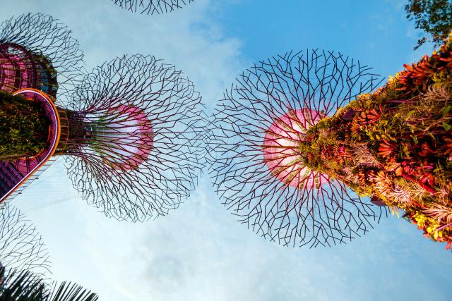 singapore_014