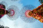 singapore_014