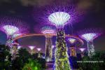 singapore_015