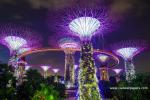 singapore_015