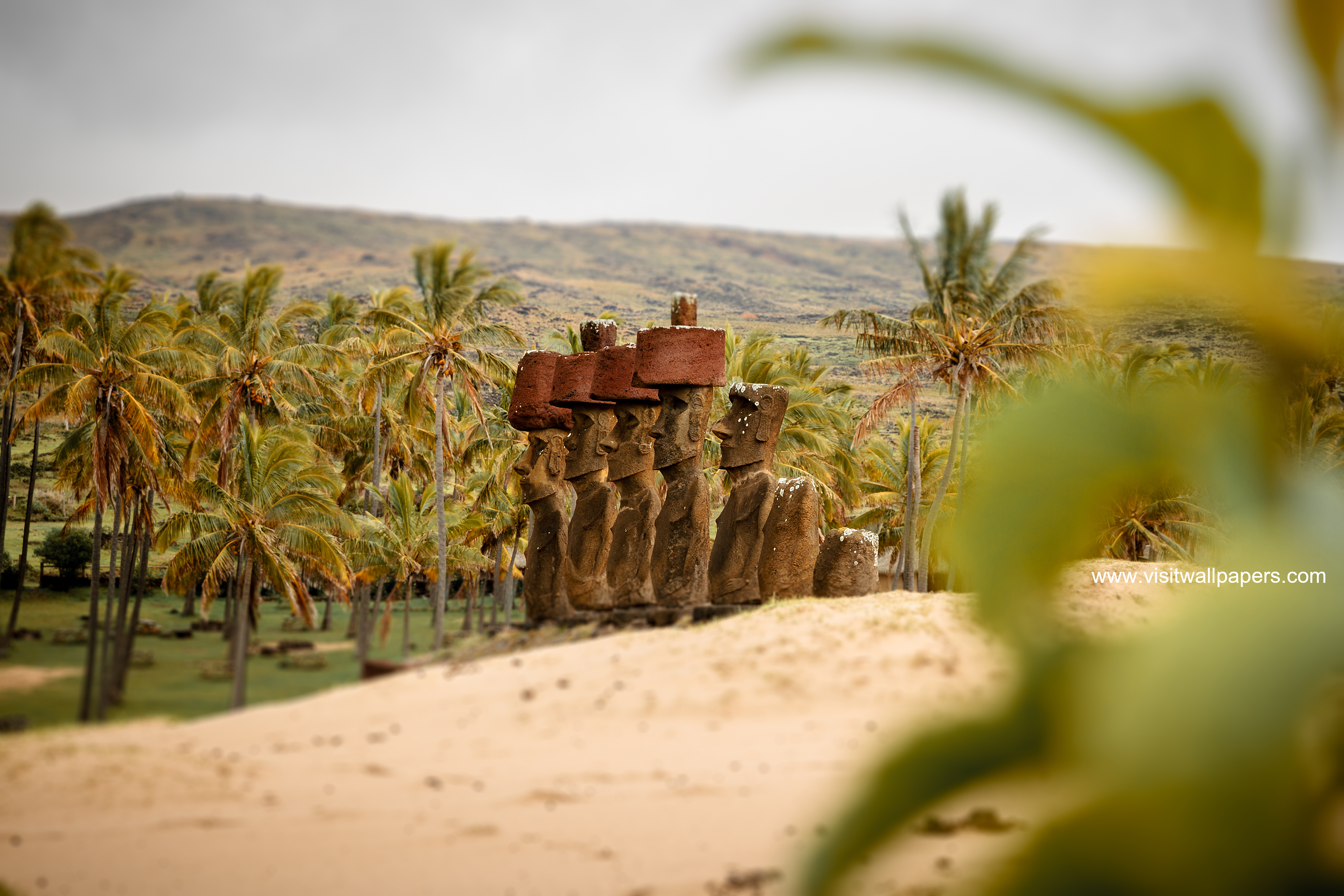 Moai_Stone_Statues_55