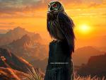 Sunrise_497