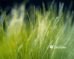 windows_vista_30