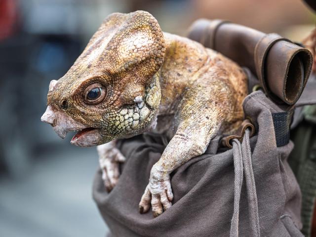 jurassic_world_rebirth_79