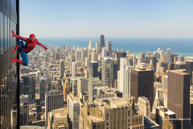 Spiderman456