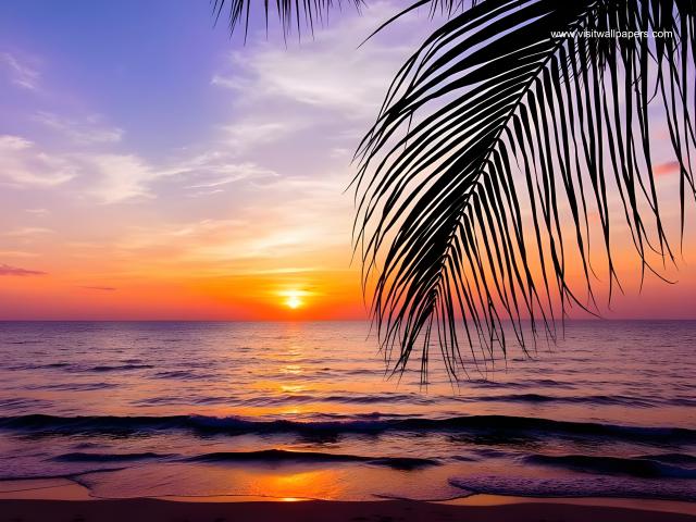 Sunset_1503