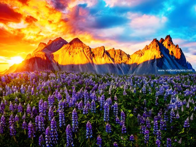 Sunset_1508