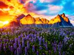 Sunset_1508