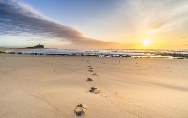 Sunrise_517