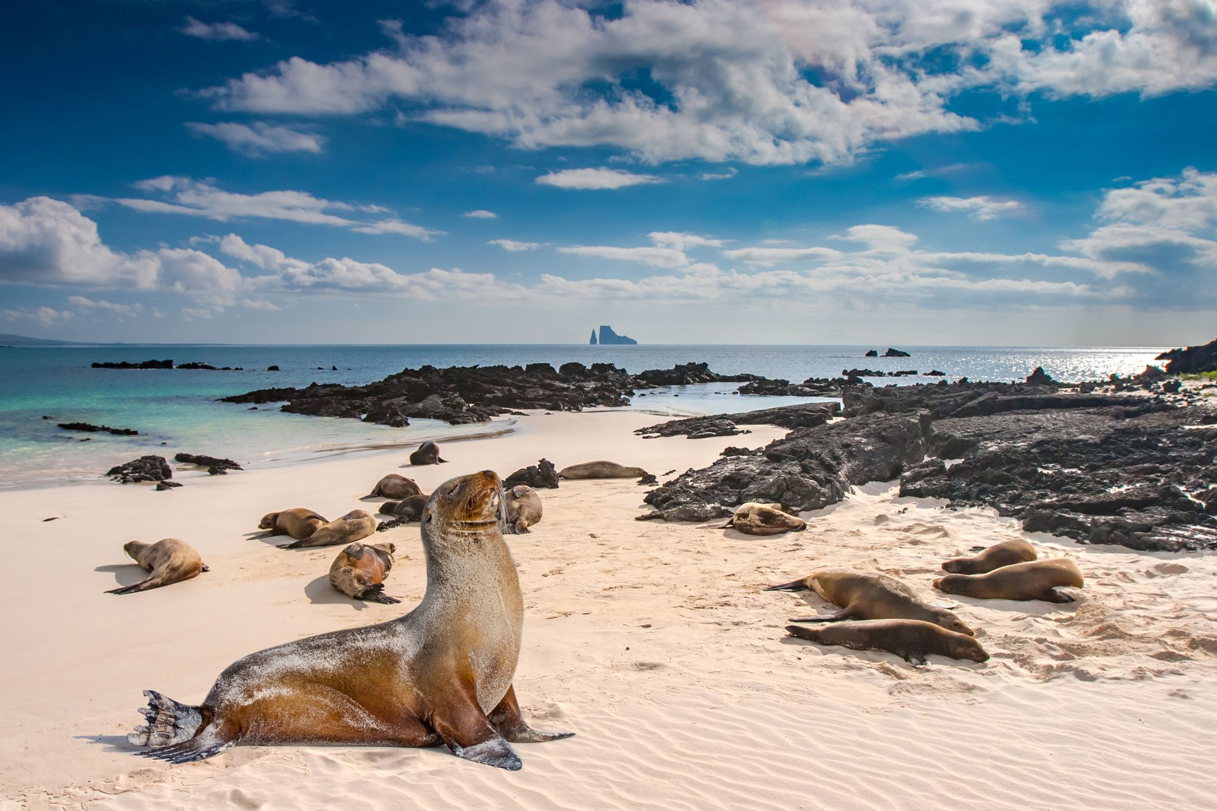 Galapagos_Islands_05