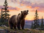 Sunset_1525