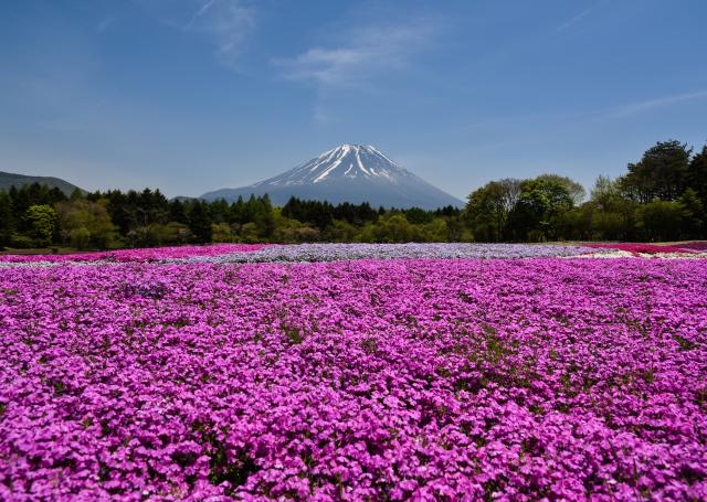 Japan_271