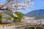 Japan_273