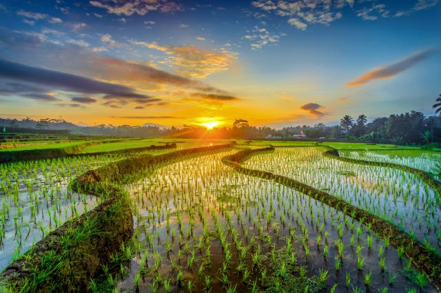 Sunrise_535