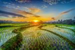 Sunrise_535