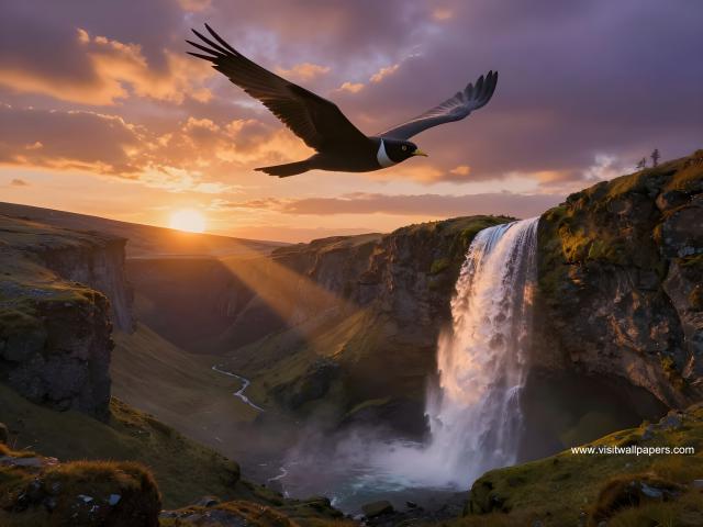 Sunset_1542