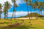 moai_stone_statues_64