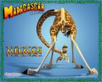 Madagascar_05