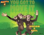 Madagascar_17