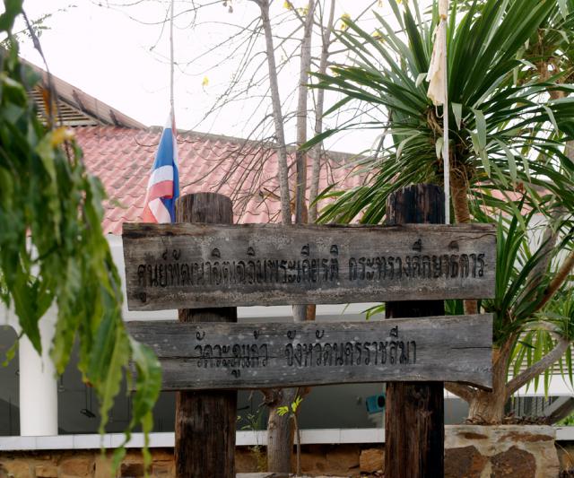 watwaphukaew04