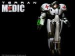 starcraft_20