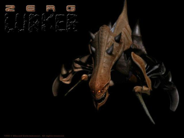 starcraft_24