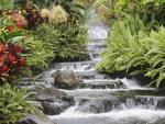 windows_vista_59