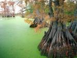 lakes_079