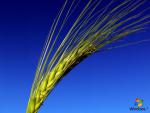 windows_7_021