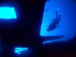 ocean-life-020