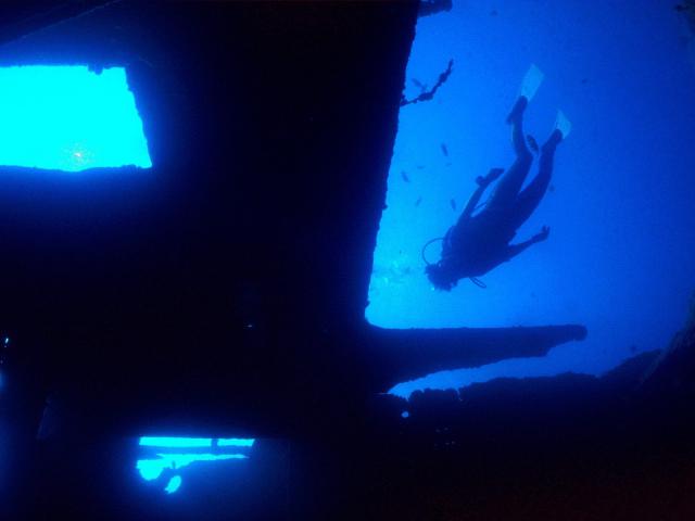 ocean-life-020