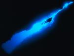 ocean-life-022