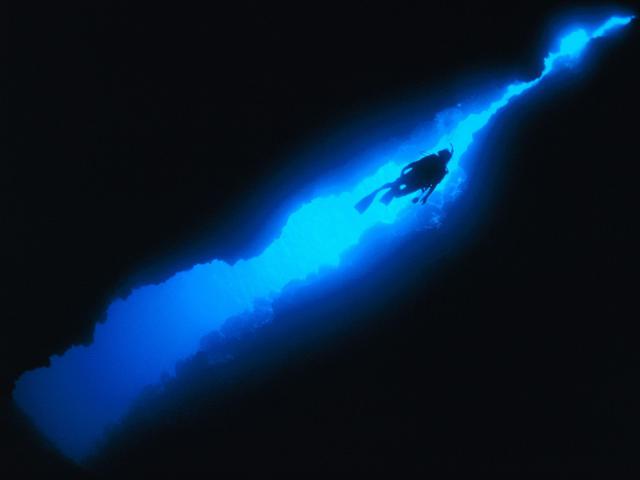 ocean-life-022