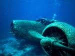 ocean-life-100