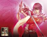 dynasty_warrior_04