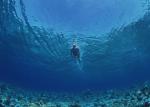 ocean-life-109