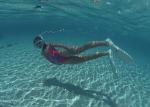 ocean-life-110