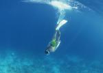 ocean-life-113