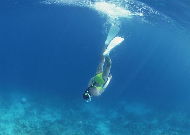 ocean-life-113