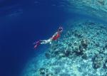 ocean-life-116