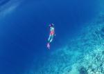 ocean-life-117