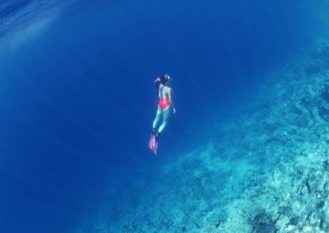 ocean-life-117